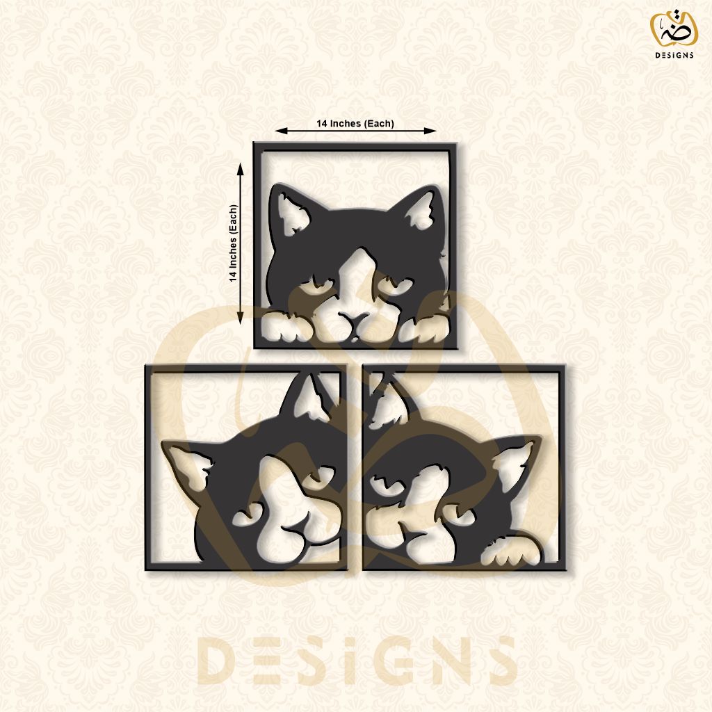 Beautiful Cat Faces
